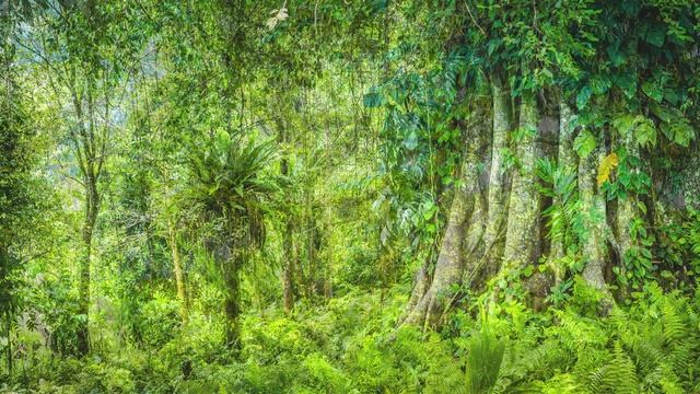 Tропическая магия смотреть онлайн