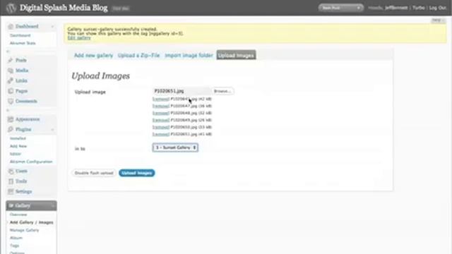 NextGen Photo Gallery for Wordpress смотреть онлайн