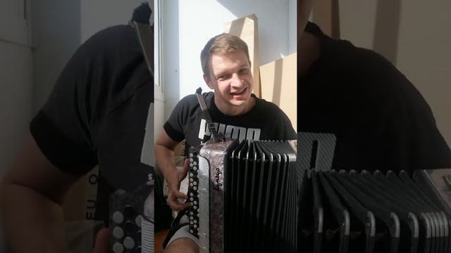 Ленинград - Мамба под баян смотреть онлайн