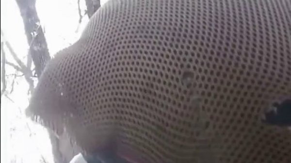 Z V НОВОСТИ ZVAleksandrD подстрелили ВСУшн подписавайтесь буду рад давайте наберём большую аудиторию