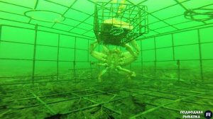 РЫБОЛОВНЫЕ ЛОВУШКИ ДЛЯ КРАБОВ