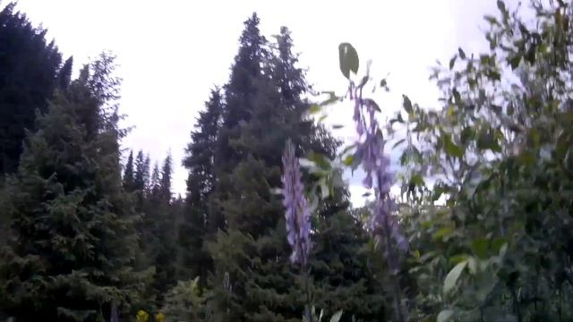 Краткий обзор и тест Экшн камеры SJCAM SJ8 AIR