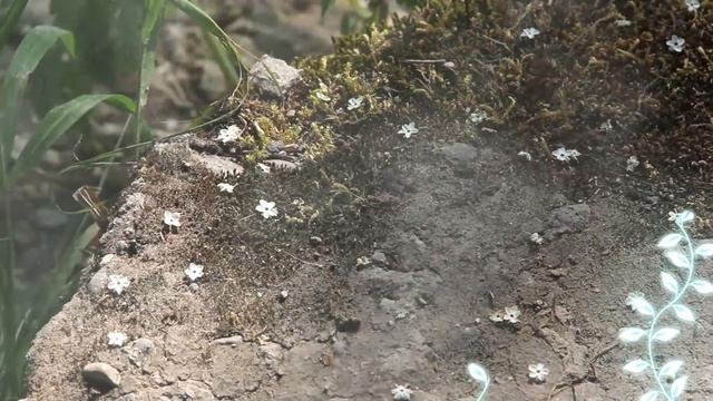 Panta Rhei | Bad Urach Wasserfall | Bad Urach Waterfall смотреть онлайн