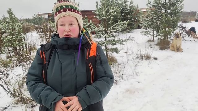 Ура, у нас будет крыша! смотреть онлайн