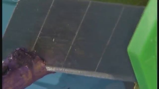 Стебель. Передвижение воды по древесине смотреть онлайн