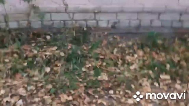 буржуйка из водонагревателя смотреть онлайн