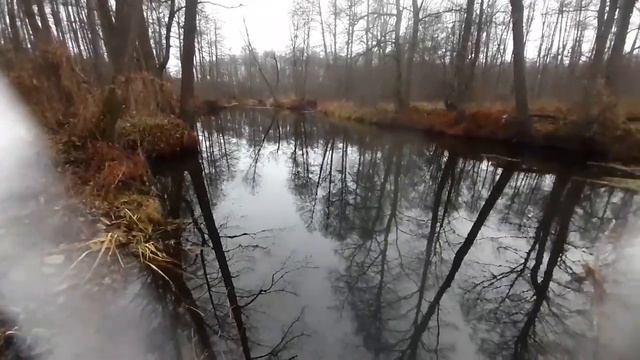 Осенняя рыбалка. Ловля на живца. Резвящая верхотка. смотреть онлайн