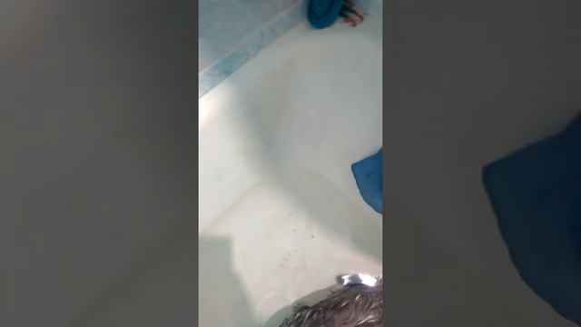 Как правильно мыть котов и котенков смотреть онлайн