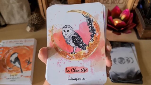 Oracle Le murmure des animaux d'Emy Lee смотреть онлайн