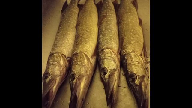 Любительская рыбалка!!!! смотреть онлайн