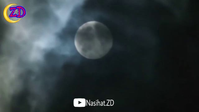 МАЙКЛ ХАРТ - ДАР БОРАИ ХАЗРАТИ МУХАММАД _ 1000 МАРДИ БЕХТАРИН ДАР ТАЪРИХ смотреть онлайн