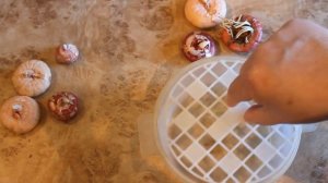 Клубни гладиолусов проросли раньше времени. Что делать?