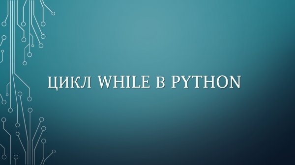 ЦИКЛ WHILE В PYTHON