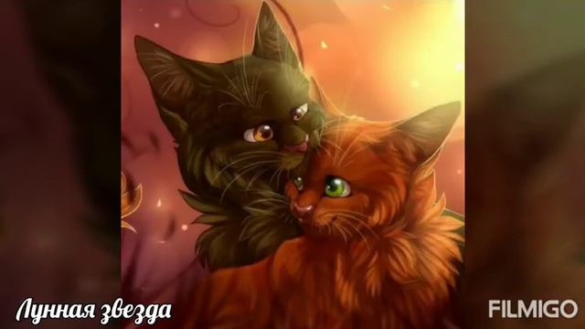 Коты воители-Белка и Ежевика смотреть онлайн