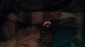 Lg f 10 96 nd3 отжим одежда малыша