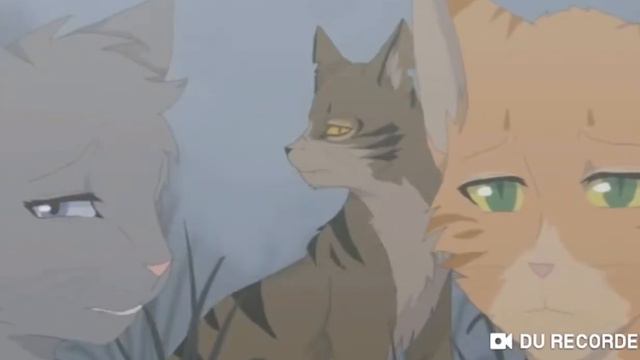 Коты-Воители Крутобок и Серебрянка. смотреть онлайн
