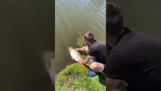 Выпускаем большого карпа! Big fish. Рыбалка. Fishing. смотреть онлайн
