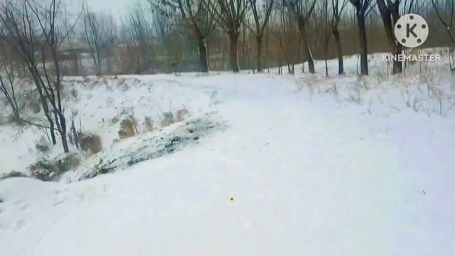 ШОШИЛИНЧ: 24-25-ФЕВРАЛ КУЧЛИ КОР ВА БУРОН -17 °- СОВУК ОГОХ БУЛИНГ КИШ КЕЛДИ смотреть онлайн