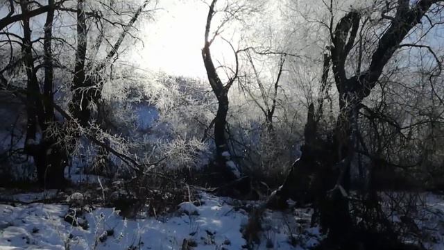 Зимний спиннинг 2018. Поиск открытой воды. Ловля на джиг, отводной, джиг-риг. смотреть онлайн