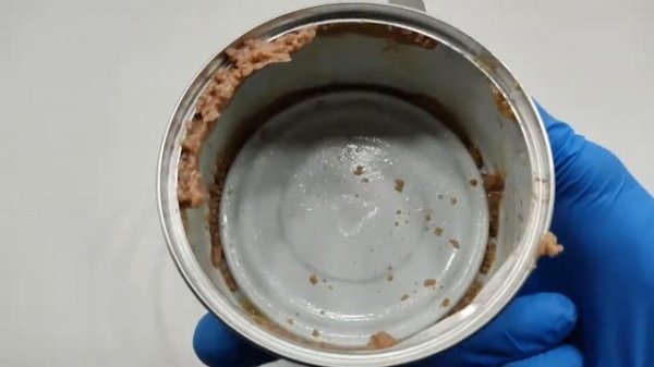 PURINA PRO PLAN - Veterinary Diets NF Kidney Function Early Care Feline Formula Canned Food-UNBOXIN