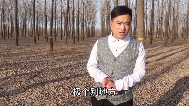 玉米价格“迎来”大涨！看今天的收购价是多少1斤？看完别惊讶 смотреть онлайн