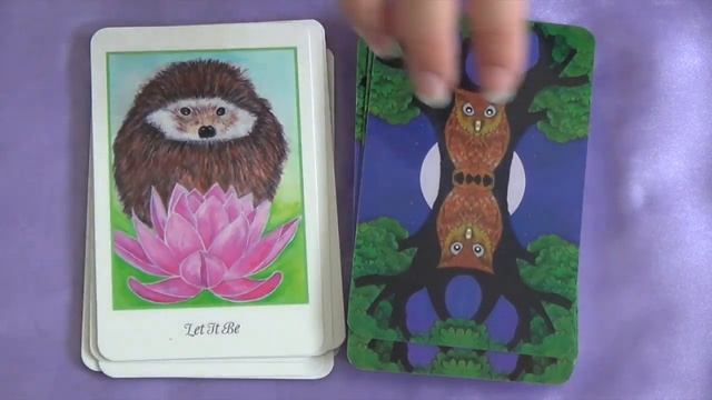 Higher Intuitions Oracle Review смотреть онлайн