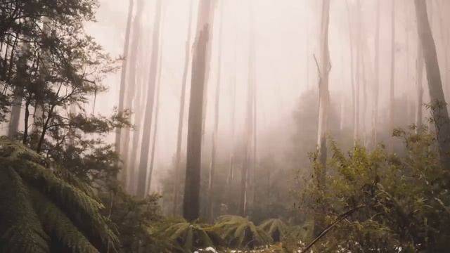 Я люблю другую, и больше не могу тебя обманывать! - заявил муж, нагло глядя жене в глаза. Он даже . смотреть онлайн