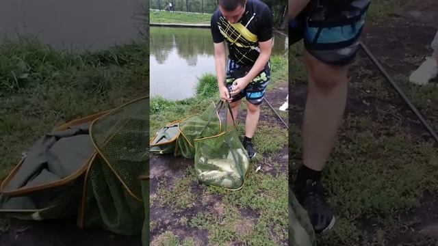 Клев!!! Супер!!! смотреть онлайн