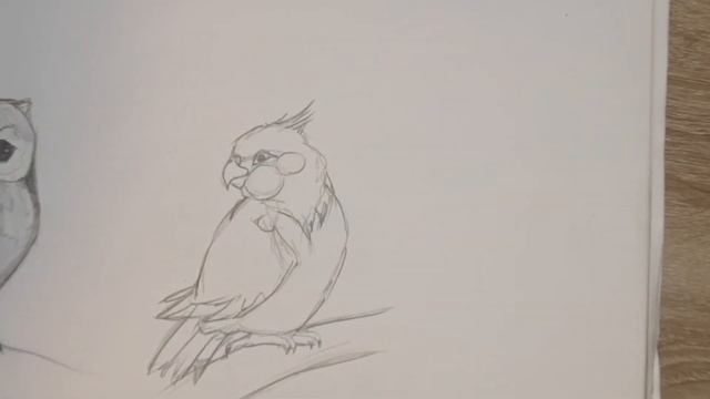 HOW TO DRAW A PARROT!!!КАК НАРИСОВАТЬ ПОПУГАЯ!!! смотреть онлайн