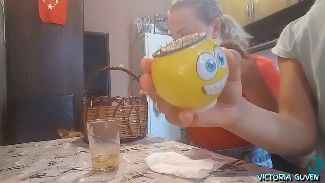 МЫ НАШЛИ МАЛЕНЬКОГО ЁЖИКА! смотреть онлайн