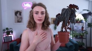 Meet the Houseplants | Begonia aconitifolia 'Hildegard Schneider' | Episode 3