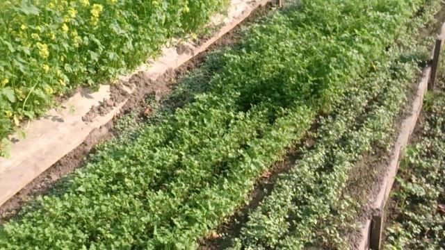 Дача на северном склоне смотреть онлайн
