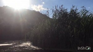 Старобельск!Отдыхаем на реке Айдар!