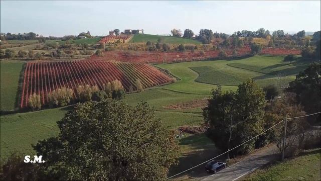 COLORI D'AUTUNNO - Castelvetro di Modena смотреть онлайн