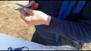 Клумба для цветов из пластиковых бутылок. Поросенок из пластиковых бутылок. Поделки для сада и дачи