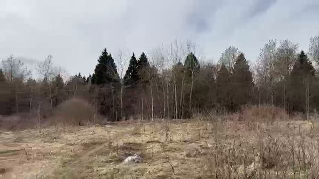 Видео Осипово 946 смотреть онлайн
