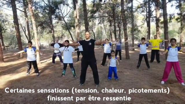 Taiji Qigong Shibashi смотреть онлайн