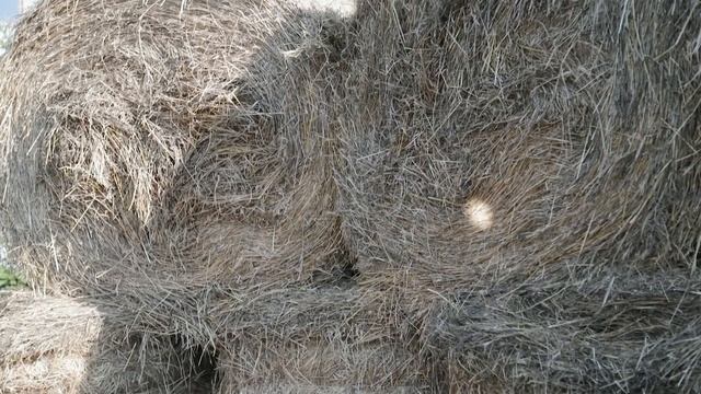 Влог: Art пространство Green ферма? смотреть онлайн