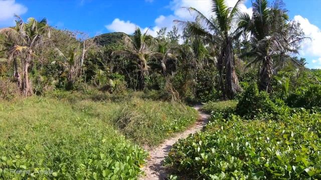 Seychelles | La Digue | Best beaches in the world смотреть онлайн