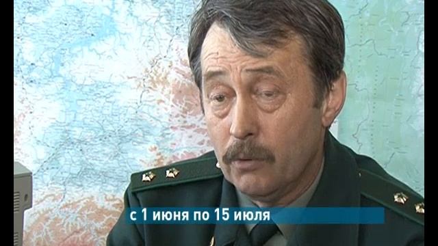 Где отдохнуть в родном крае? смотреть онлайн