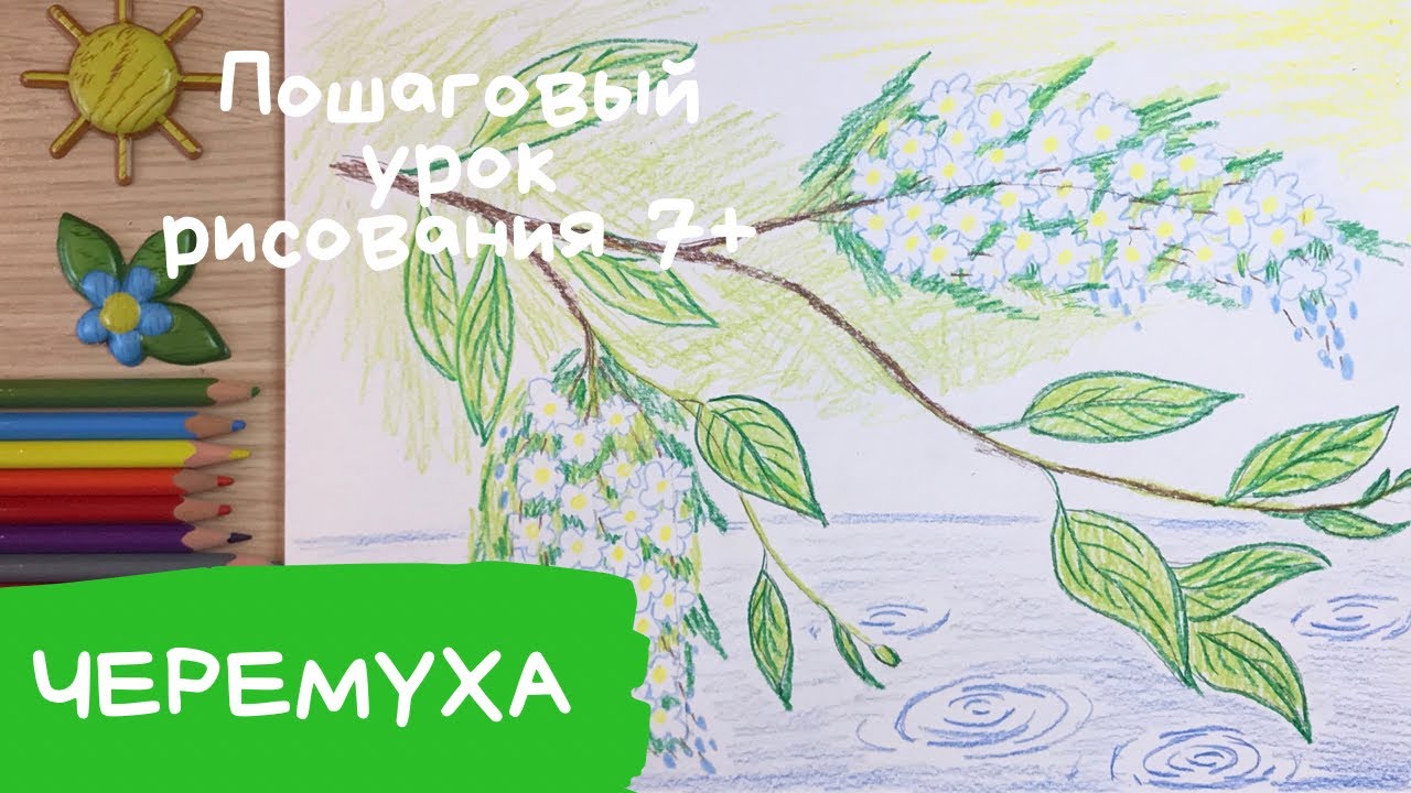 Черемуха рисунок. Как нарисовать черемуху Есенин. Нарисовать рисунок весна. Весеннее цветущее дерево смотреть онлайн