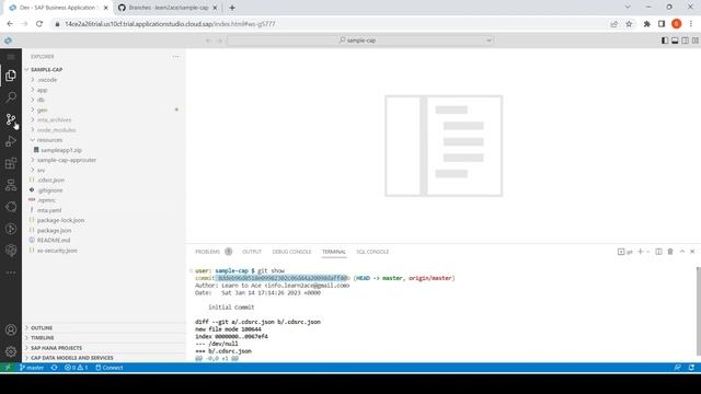 01.03 How to Use Git in SAP BAS? | GitHub |SAP BAS смотреть онлайн