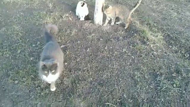 46 Новое орудия труда смотреть онлайн