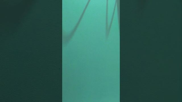 Проверяю эссе