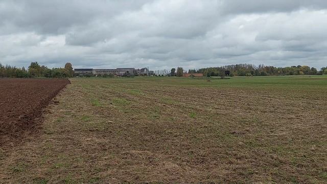 Трактор МФ 3080 и плуг Квернеланд ЕС95. Пахота переворотным плугом. смотреть онлайн