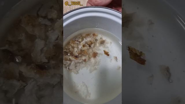 ХАТЫЫС ХАБАҔЫНАН ЭМТЭНЭРГЭ ХАЙДАХ ТУҺАНАБЫТ? #хатыыс #хатыысхабаҕынанэмтэнии #хатыысхабаҕа