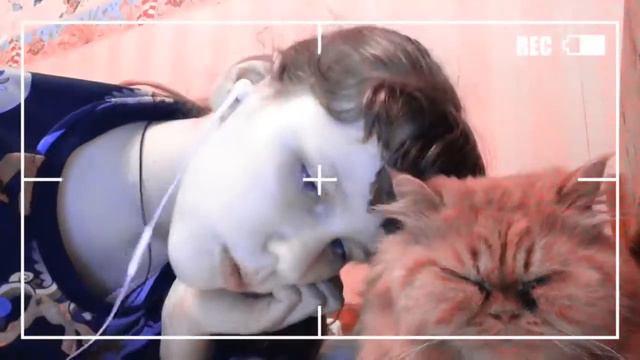 JesusAVGN - Ламповая няша