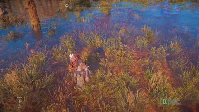 Horizon Forbidden West in 4K e HDR su PlayStation 5 смотреть онлайн