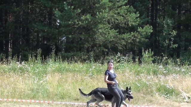 класс открытый Церий из Артли смотреть онлайн