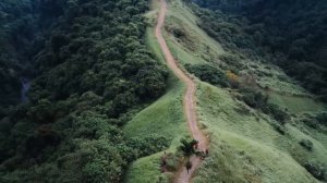 Беременная приютила зека. Ночью соседи услышали дикий крик. Зашли в квартиру и побледнели!